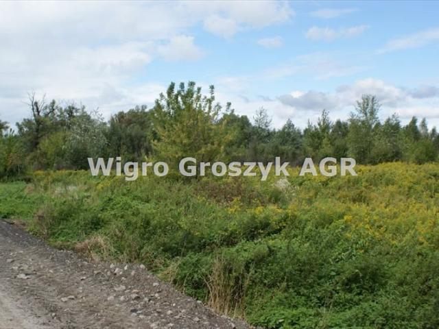 Działka 31 524 m² pod zabudowę i rekreację w Warszawie