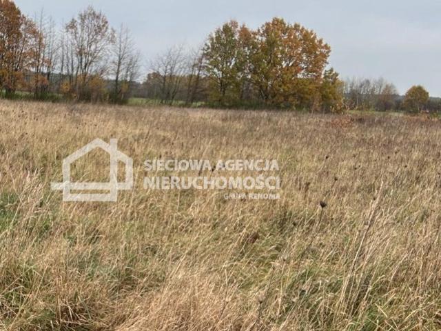 Zapraszam do zakupu działki 3205 m² z możliwością zabudowy