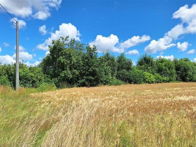 Działka 3216 m² pod dom w Malechówku, uzbrojona