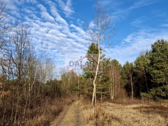 Działka 32 698 m², Krzaki Czaplinkowskie