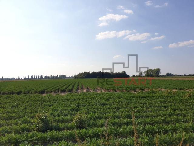 Działka 32 900 m², Żuków