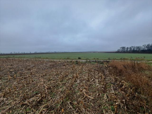 Działka 3326 m² z planem zagospodarowania w Złotnikach