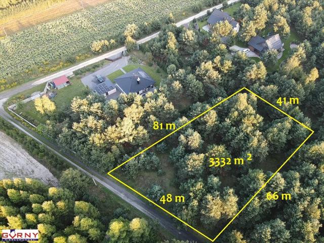 Działka 3336 m² z lasem i zabudową w Prucheńsku Dużym