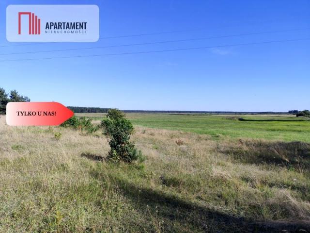 Działka 33 500 m², Brzezie