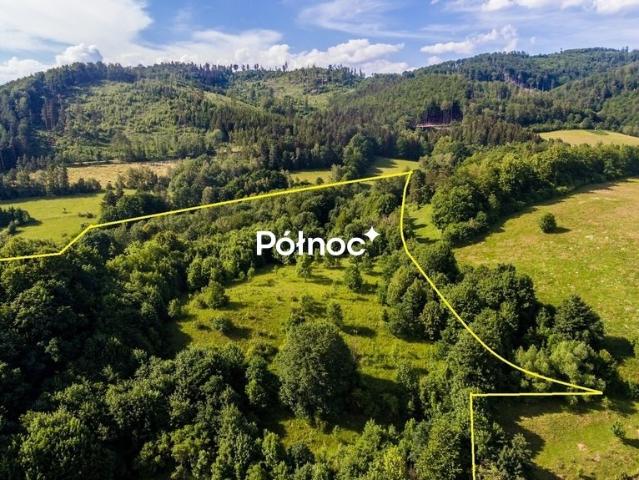 Działka 3,3 ha z stawem i widokami na Śnieżnik