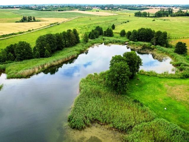 Działka 3 000 m², Trygort