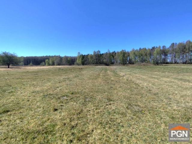 Działka 3 005 m², Gostyń