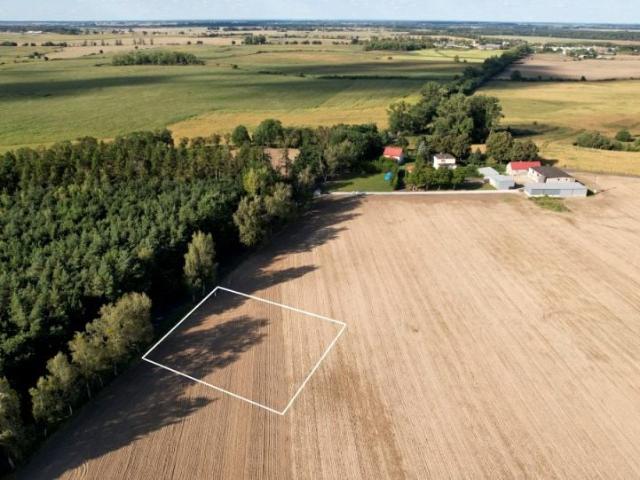 Działka 3 005 m², Gaj Wielki