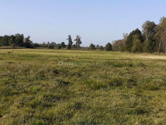 Działka 3 005 m², Jagodnia