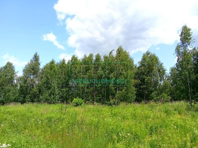 Działka 3 005 m², Oddział