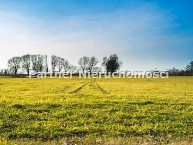 Działka 3 007 m², Różankowo