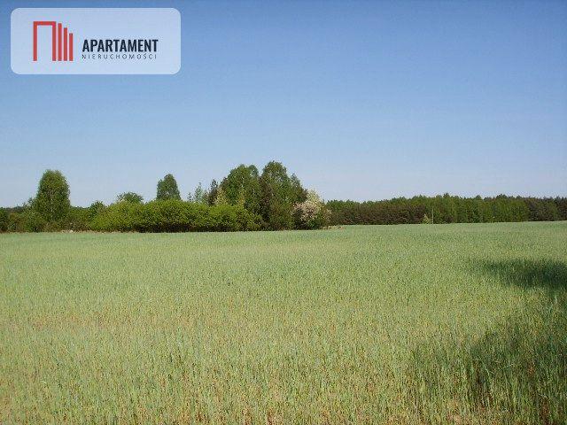 Działka 3 007 m², Świekatowo