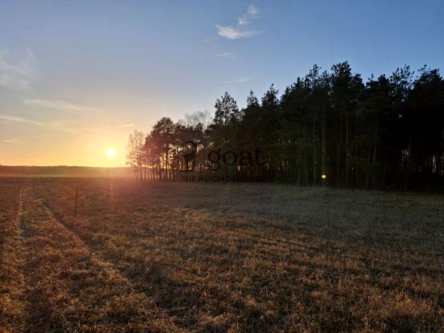 Działka 3 009 m², Klaskawa