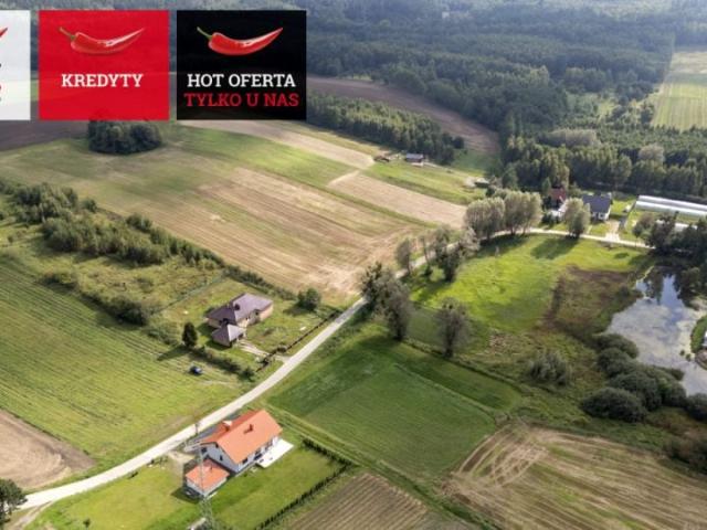 Działka 3 009 m², Zła Wieś