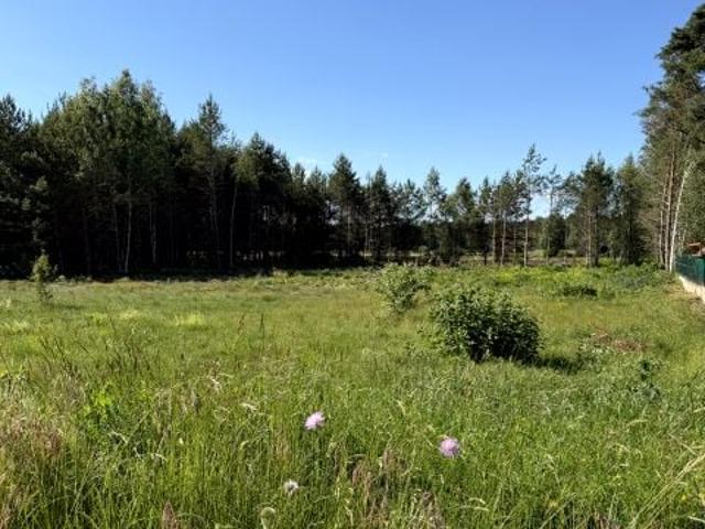 Działka 3 000 m², Chraboły