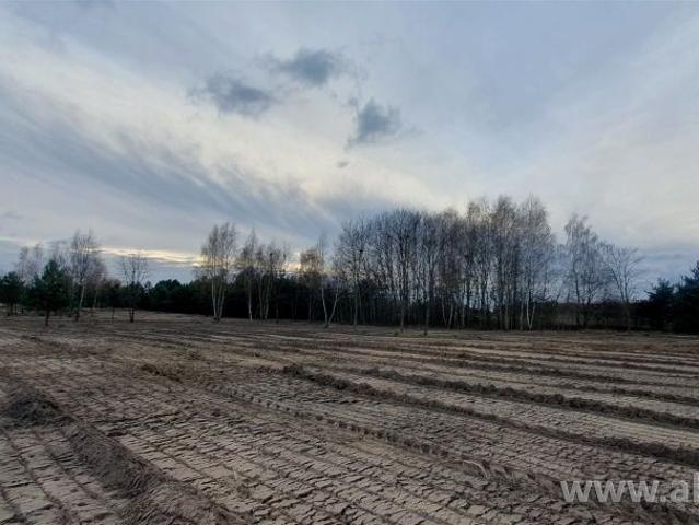Działka 3 000 m², Częstoniew