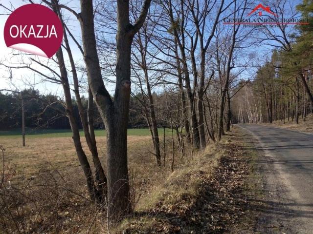Działka 3 000 m², Czarne Błoto