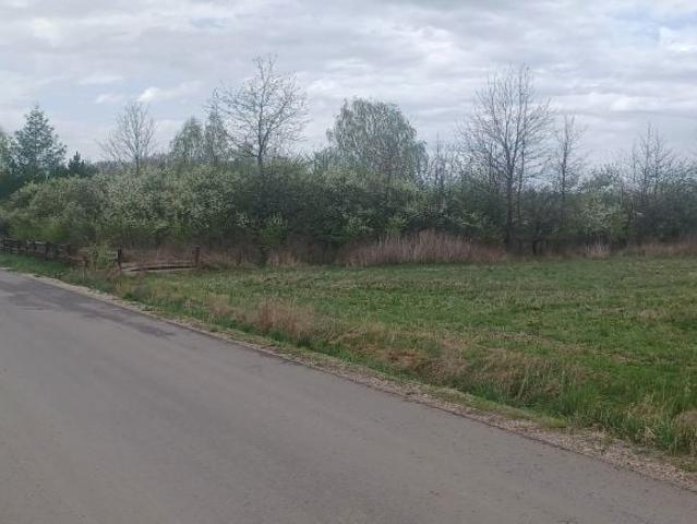Działka 3 000 m², Błeszno