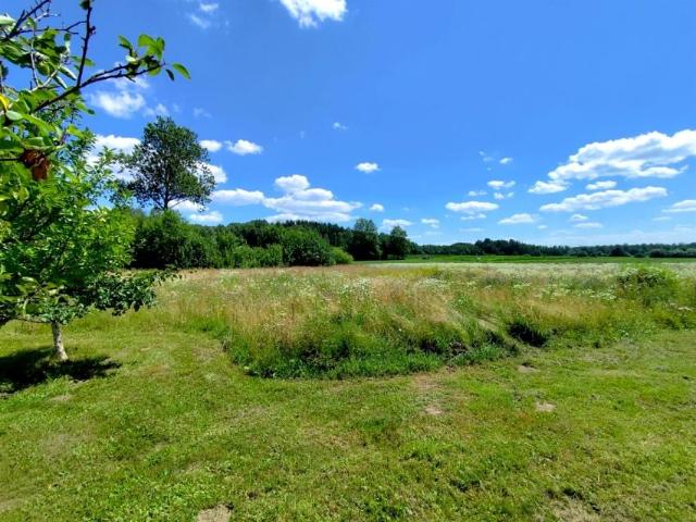 Działka 3 000 m², Baciuty Kolonia