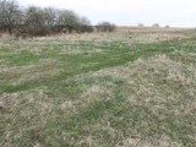 Działka 3 000 m², Barnisław