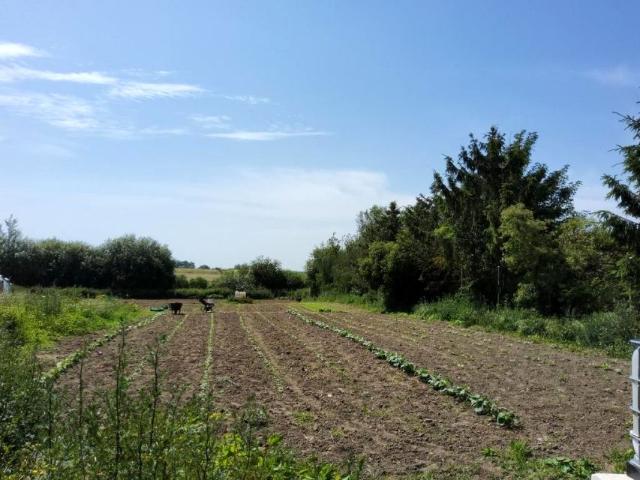 Działka 3 000 m², Barnisław