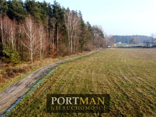 Działka 3 000 m², Głupianka