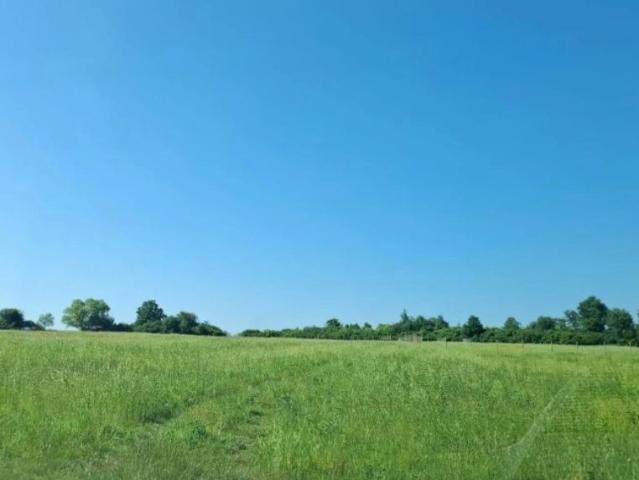 Działka 3 000 m², Gorzanów