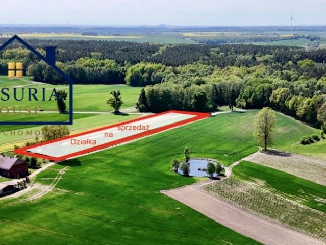 Działka 3 000 m², Gulb