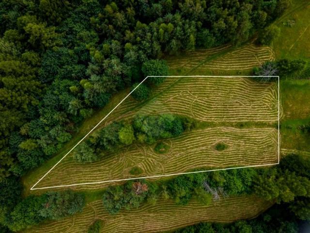 Działka 3 000 m², Żegiestów