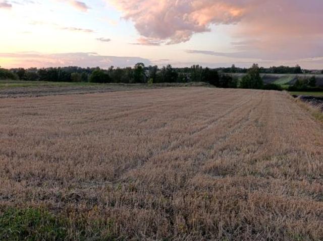 Działka 3 000 m², Kobylniki