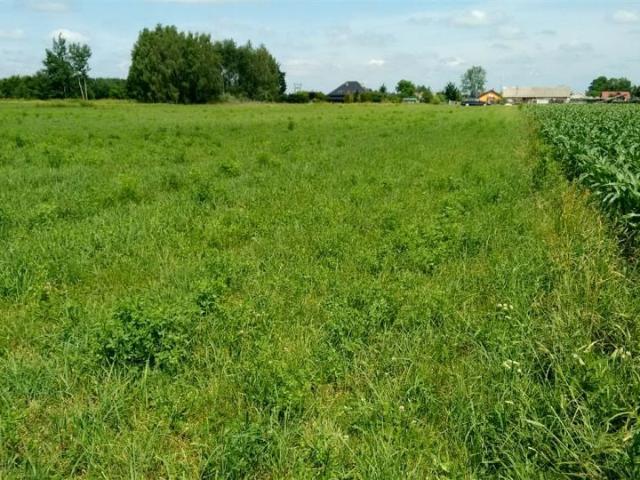 Działka 3 000 m², Komorów