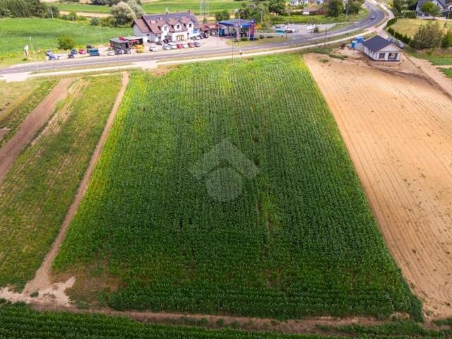 Działka 3 000 m², Koniusza