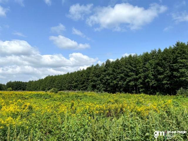 Działka 3 000 m², Kopanino