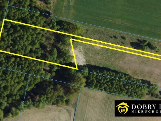 Działka 3 000 m², Kosmaty Borek