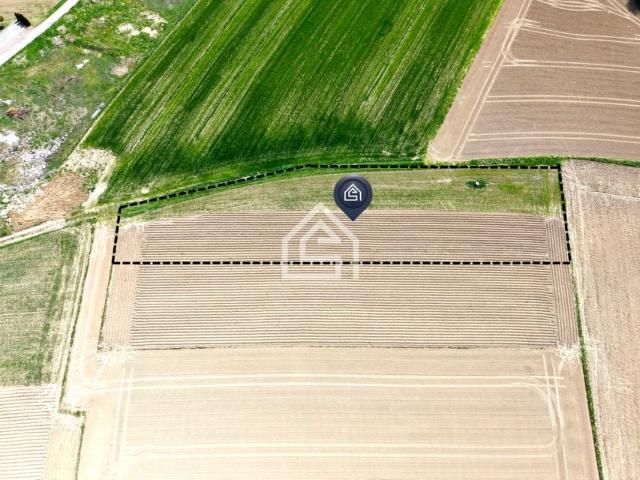 Działka 3 000 m², Książnice