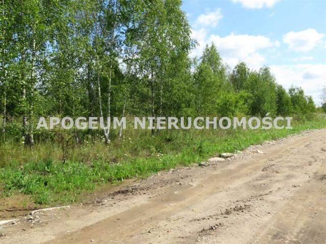 Działka 3 000 m², Kuriany