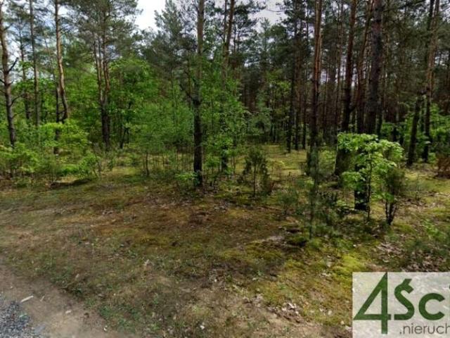 Działka 3 000 m², Truskaw