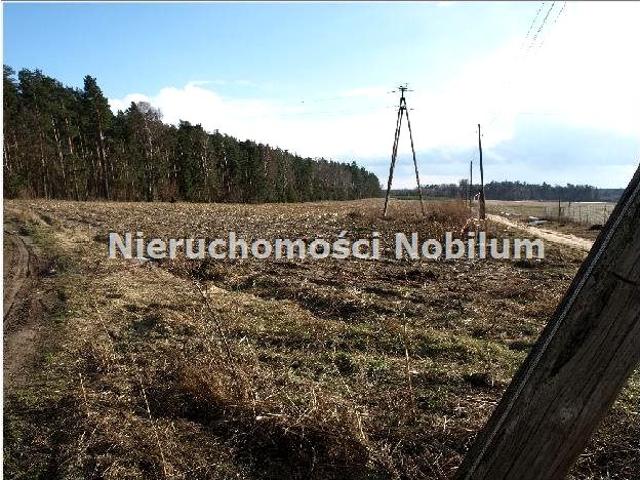 Działka 3 000 m², Ostrowina