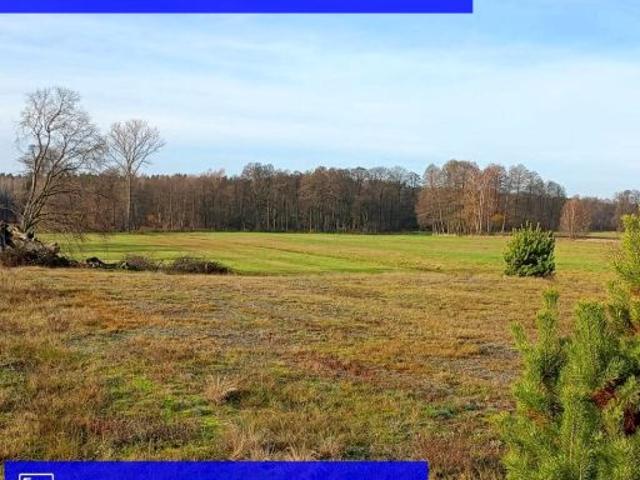 Działka 3 000 m², Ldzań