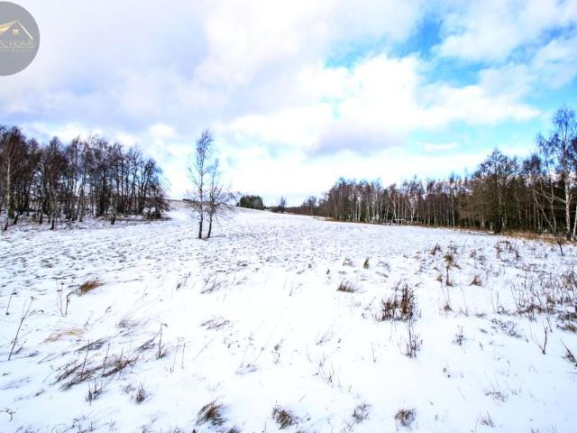 Działka 3 000 m², Michałkowa