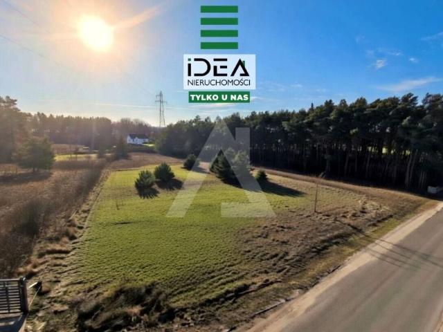 Działka 3 000 m², Nowe Dąbie