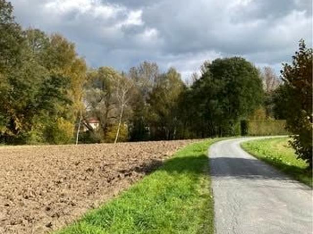 Działka 3 000 m², Nowy Borek