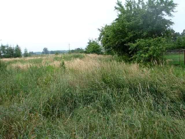 Działka 3 000 m², Niedźwiedź