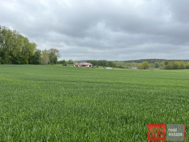 Działka 3 000 m², Niemierze