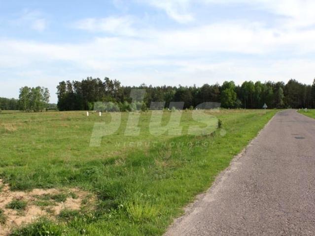 Działka 3 000 m², Niewiadowo