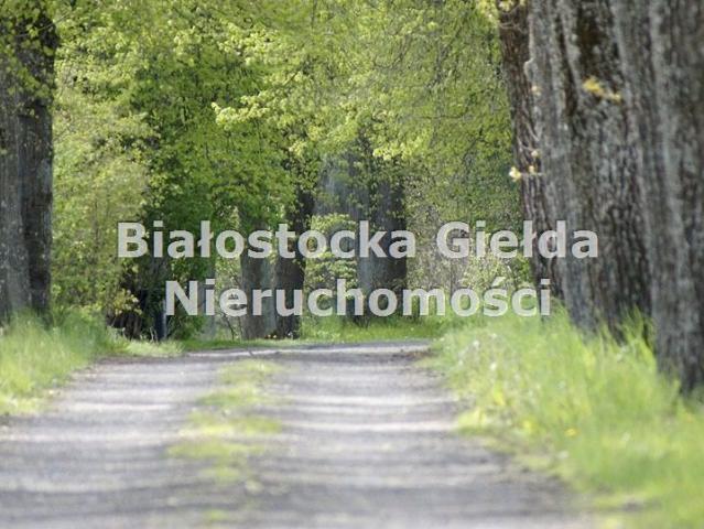 Działka 3 000 m², Słójka