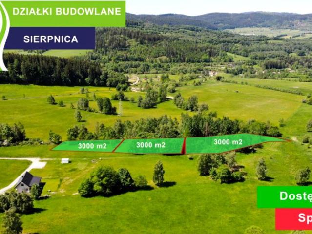Działka 3 000 m², Sierpnica