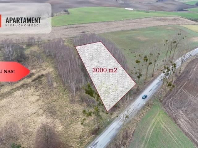 Działka 3 000 m², Łąsko Małe