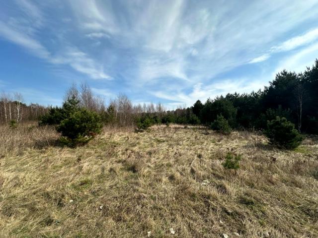 Działka 3 000 m², Steklno