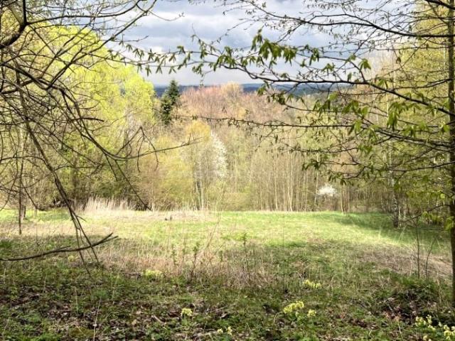 Działka 3 000 m², Stryszów